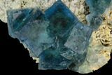 Cubic, Blue-Green Fluorite Crystals on Quartz - China #121995-2